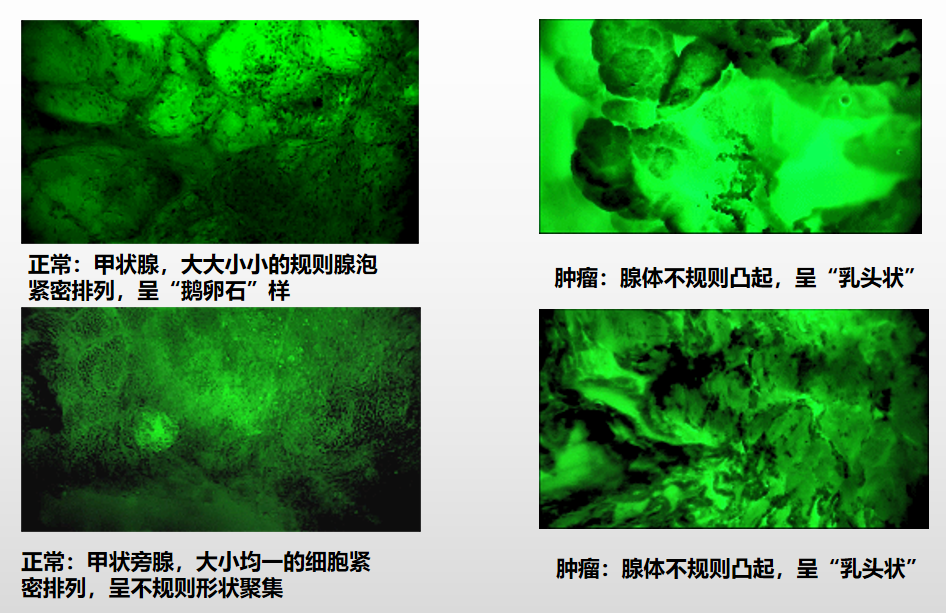 微信圖片_20250512155444.png 微信圖片_20250512155444.png