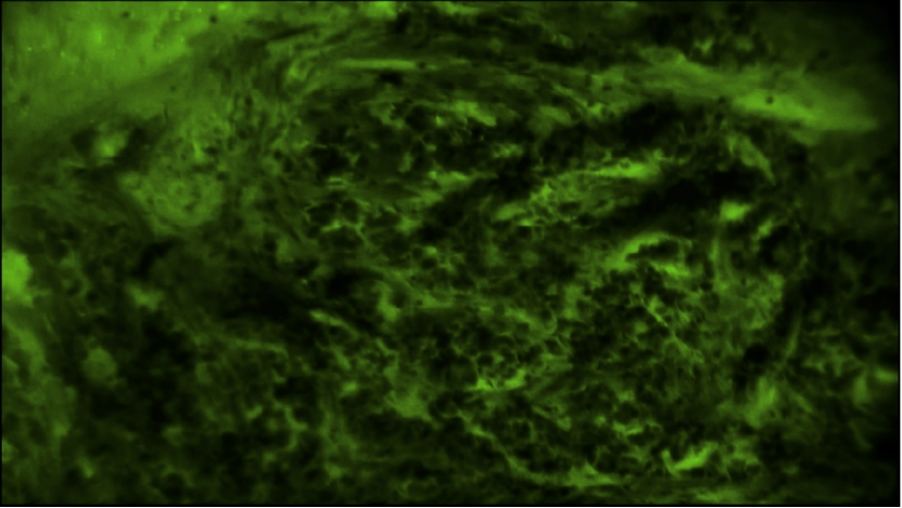 微信圖片_20250521140853.png 微信圖片_20250521140853.png