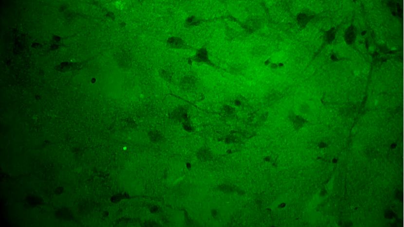 微信圖片_20250711151238.png 微信圖片_20250711151238.png