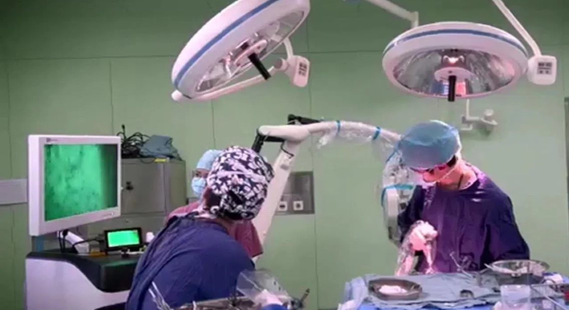 合肥官媒報(bào)道：合肥技術(shù)突破！細(xì)胞級(jí)熒光導(dǎo)引技術(shù)精準(zhǔn)識(shí)別癌細(xì)胞