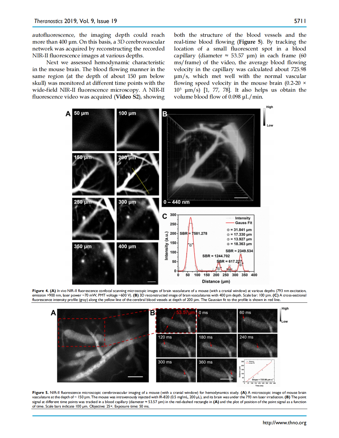 Excretable IR-820 for in vivo NIR-II fluorescence cerebrovascular imaging and photothermal therapy of subcutaneous tumor(圖6)