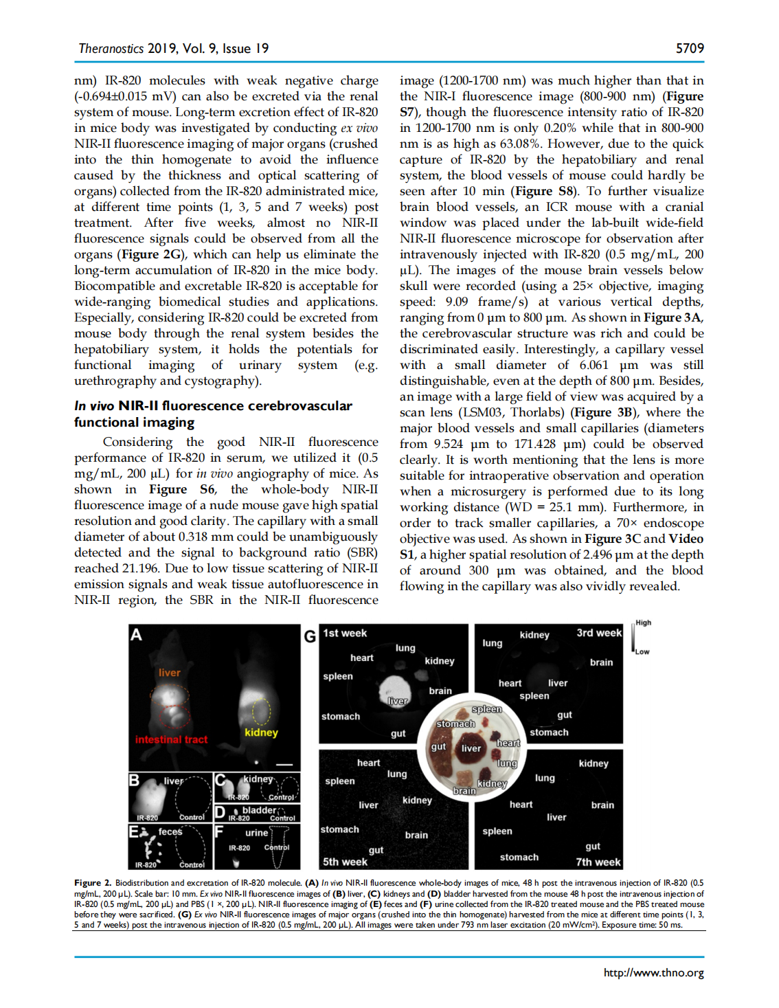 Excretable IR-820 for in vivo NIR-II fluorescence cerebrovascular imaging and photothermal therapy of subcutaneous tumor(圖4)