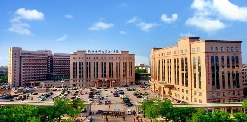 膠質(zhì)母細(xì)胞瘤手術(shù)新突破:河北醫(yī)大二院應(yīng)用EndoSCell?實(shí)現(xiàn)細(xì)胞級(jí)精準(zhǔn)切除(圖8)