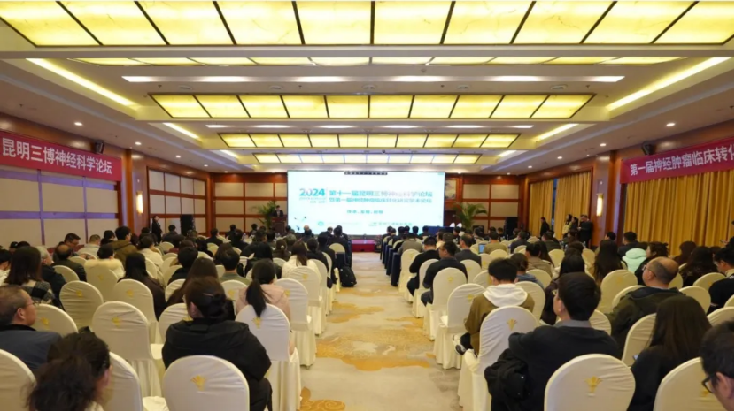 昆明神經(jīng)腫瘤論壇:EndoSCell?細(xì)胞級熒光導(dǎo)引技術(shù)開啟精準(zhǔn)手術(shù)新時(shí)代(圖2)