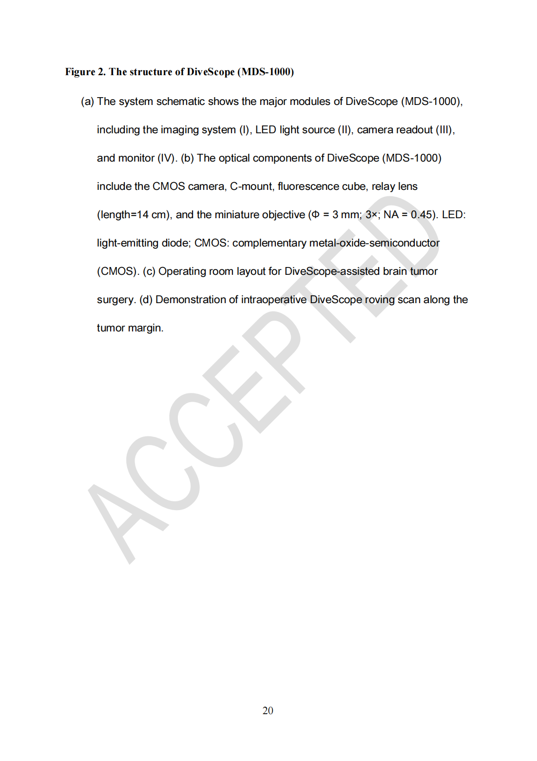 Roving histological imaging for navigation-confirmed glioma negative margin by handheld endomicroscopy: a parallel controlled study(圖20)