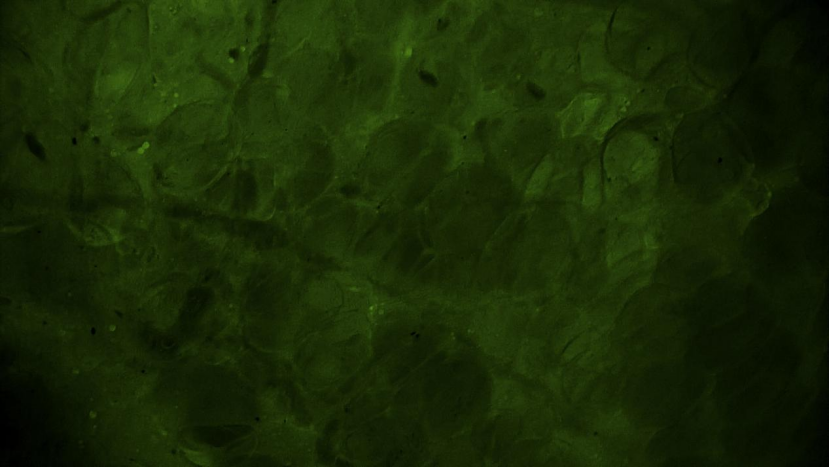 微信圖片_20250521140843.png 微信圖片_20250521140843.png