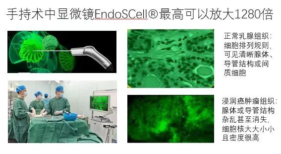 微信圖片_20250711162854.jpg 微信圖片_20250711162854.jpg